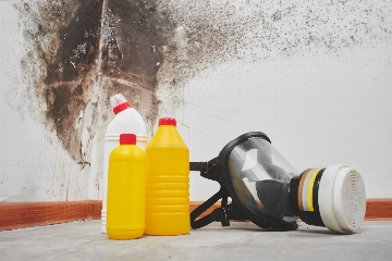 Guide to Obtain Your Mold Remediation License in Tennessee